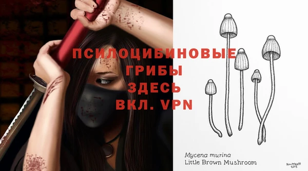Альфа ПВП Алексин