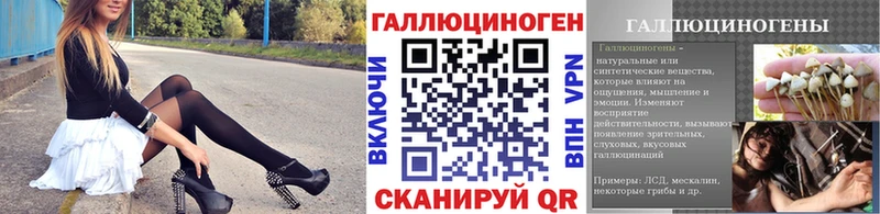 Псилоцибиновые грибы мухоморы  магазин продажи   Бабаево 